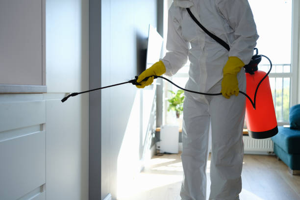 Best Water Damage Restoration  in Cheboygan, MI